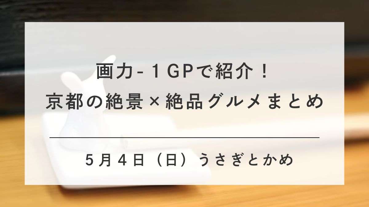 うさぎと亀で紹介された京都の絶景が楽しめるグルメまとめ